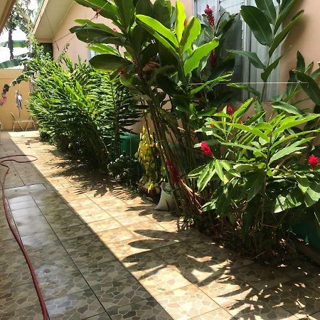 Desamparados  Casa Del Suizo Bed & Breakfast エクステリア 写真