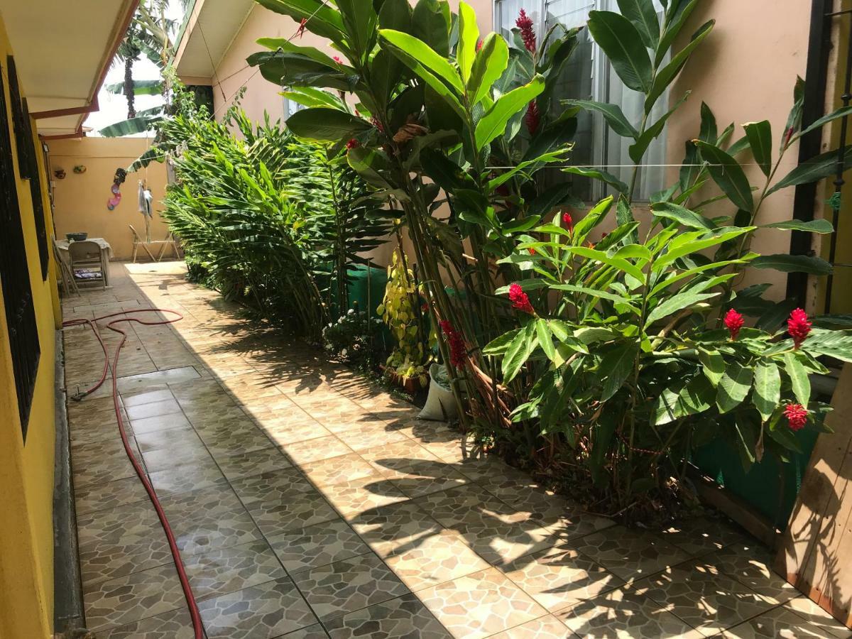 Desamparados  Casa Del Suizo Bed & Breakfast エクステリア 写真